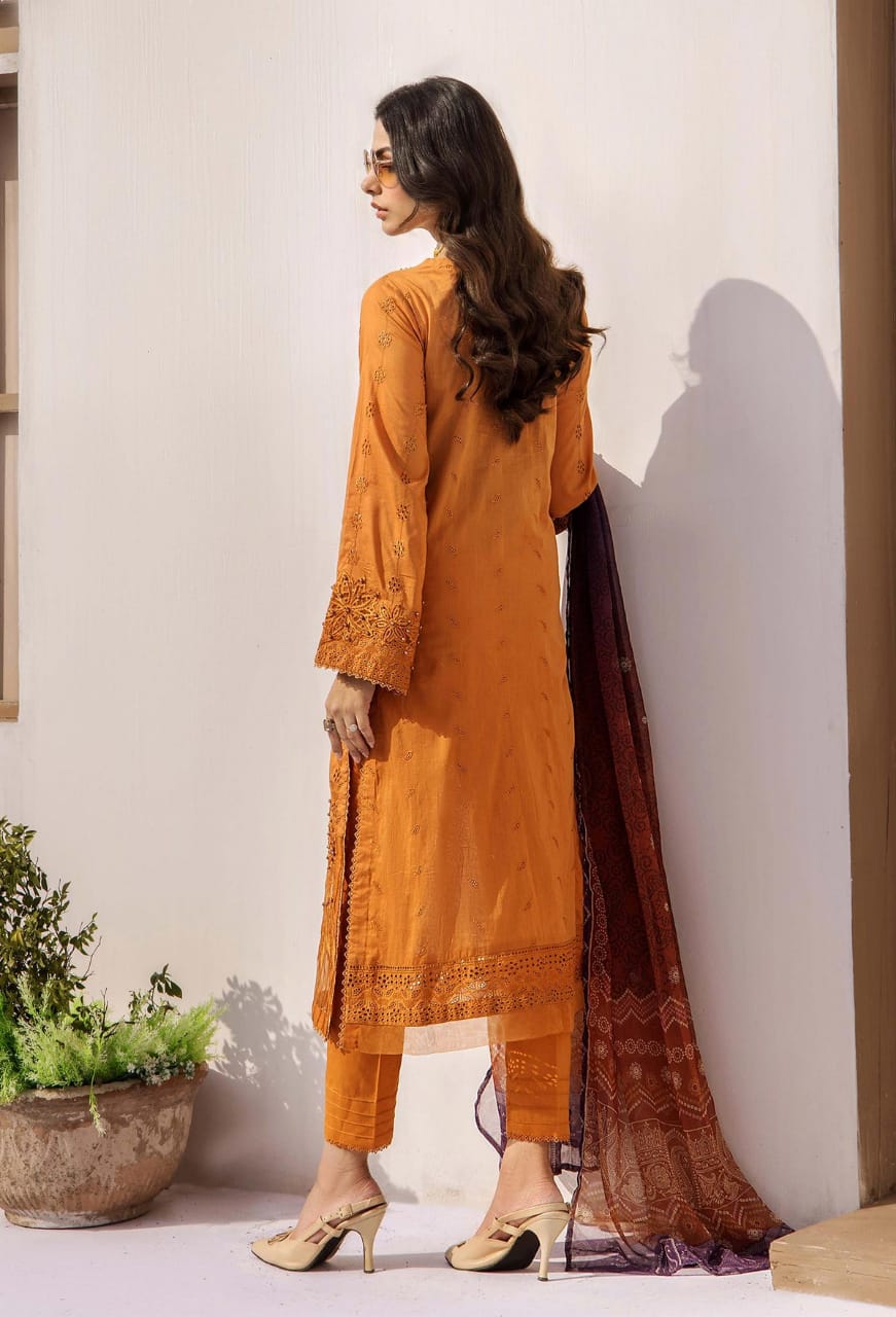 Adan Libas | Rust - Lawn Chikankari Collection