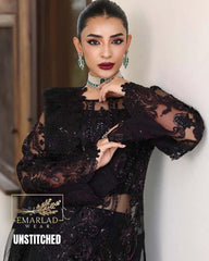 Imrozia EC Black Net Embroidered Suit – Luxury Formal Wear