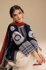 Bareeze | Navy Blue - Embroidered Dhanak Collection