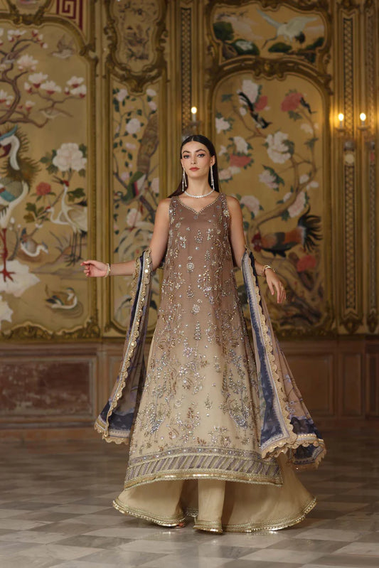 Noor By Sadia Asad | Beige - Cotton Net Collection