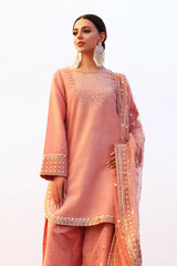 Charizma | Peach - Sheesha Silk Collection