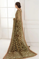 Baroque Embroidered Chiffon CH10-06 Brown