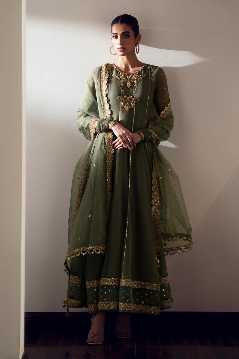 Baroque Embroided Chiffon PR-897