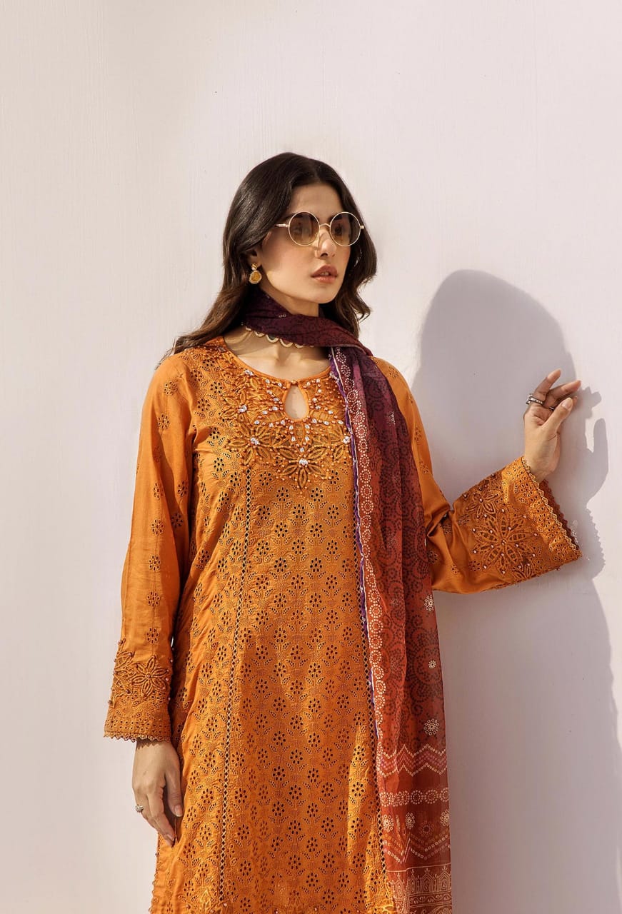Adan Libas | Rust - Lawn Chikankari Collection