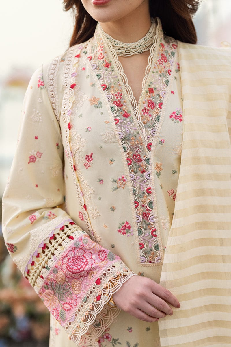 Qalamkar | Cream - Cotton Chikankari Collection