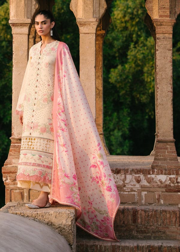 Bin Ilyas | Skin - Cotton Chikankari Collection