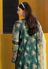 Elaf Signature El-07A | Green - Lawn Collection