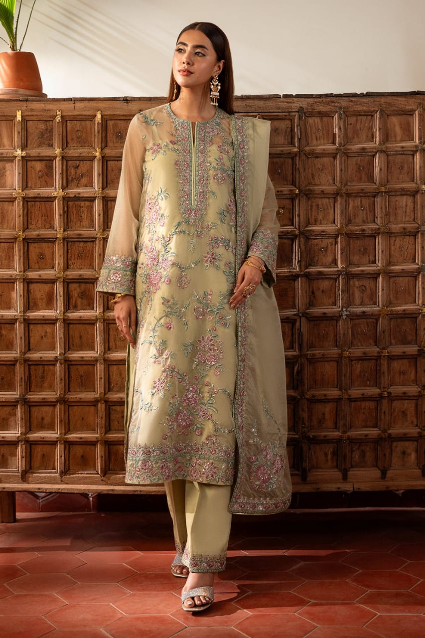 Sheenora | Pista Green - Organza Collection