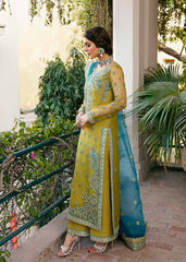 Akbar Aslam Embroidered Organza Dress