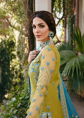 Akbar Aslam Embroidered Organza Dress