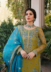 Akbar Aslam Embroidered Organza Dress