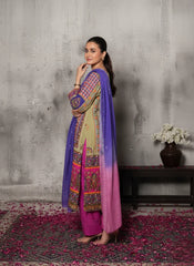 Haris Shakeel | Multi Color - 3 Piece Digital Printed Silk Collection